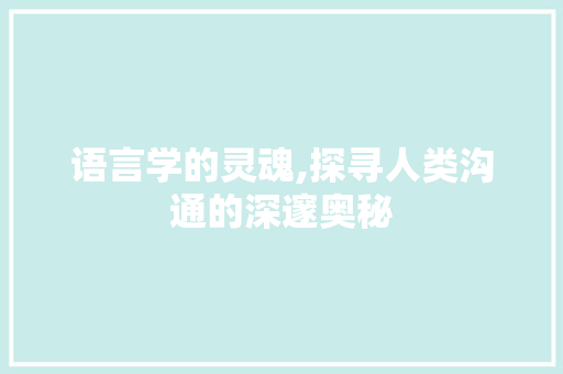 语言学的灵魂,探寻人类沟通的深邃奥秘