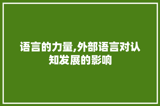 语言的力量,外部语言对认知发展的影响
