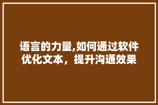 语言的力量,如何通过软件优化文本，提升沟通效果