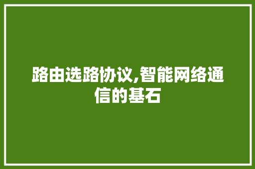 路由选路协议,智能网络通信的基石