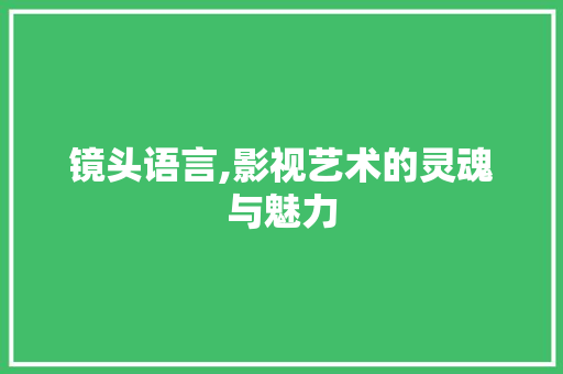 镜头语言,影视艺术的灵魂与魅力