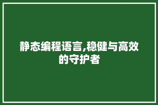 静态编程语言,稳健与高效的守护者