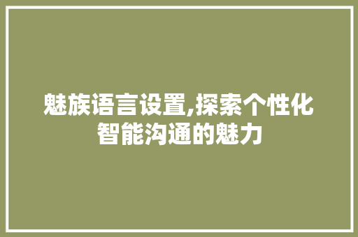 魅族语言设置,探索个性化智能沟通的魅力