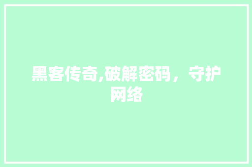 黑客传奇,破解密码，守护网络