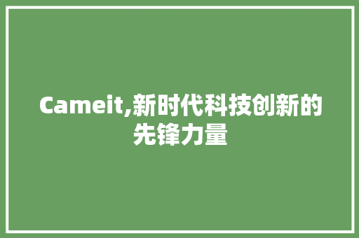 Cameit,新时代科技创新的先锋力量