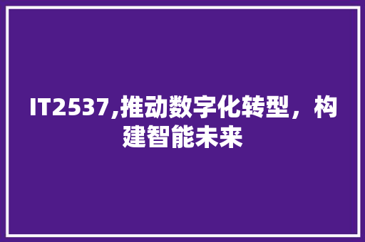 IT2537,推动数字化转型，构建智能未来