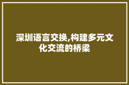 深圳语言交换,构建多元文化交流的桥梁