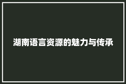 湖南语言资源的魅力与传承