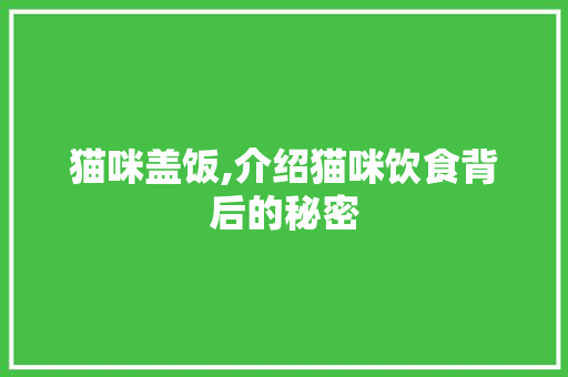 猫咪盖饭,介绍猫咪饮食背后的秘密