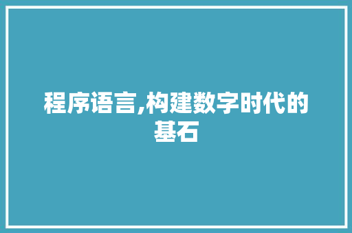 程序语言,构建数字时代的基石
