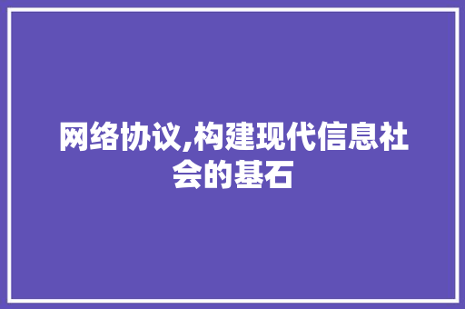 网络协议,构建现代信息社会的基石