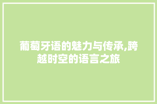 葡萄牙语的魅力与传承,跨越时空的语言之旅