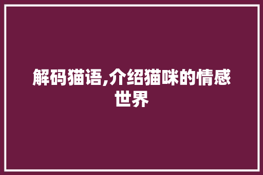 解码猫语,介绍猫咪的情感世界