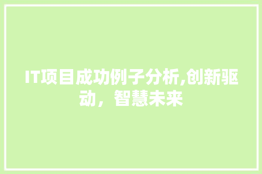 IT项目成功例子分析,创新驱动，智慧未来