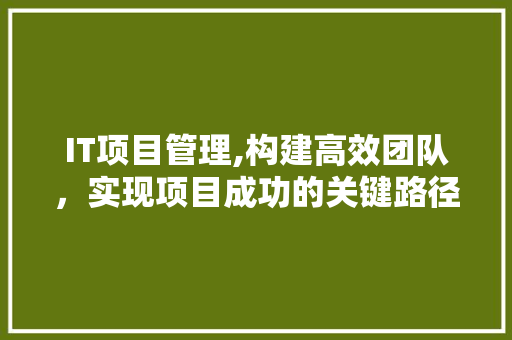 IT项目管理,构建高效团队，实现项目成功的关键路径