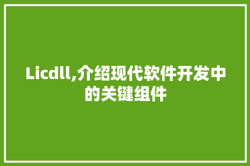 Licdll,介绍现代软件开发中的关键组件