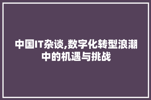 中国IT杂谈,数字化转型浪潮中的机遇与挑战