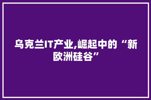 乌克兰IT产业,崛起中的“新欧洲硅谷”