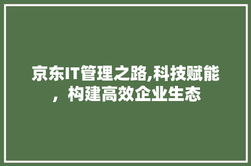 京东IT管理之路,科技赋能，构建高效企业生态