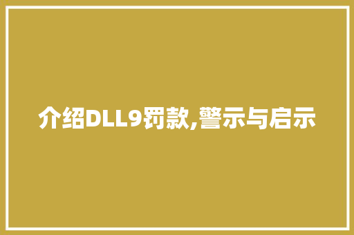 介绍DLL9罚款,警示与启示