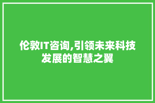 伦敦IT咨询,引领未来科技发展的智慧之翼