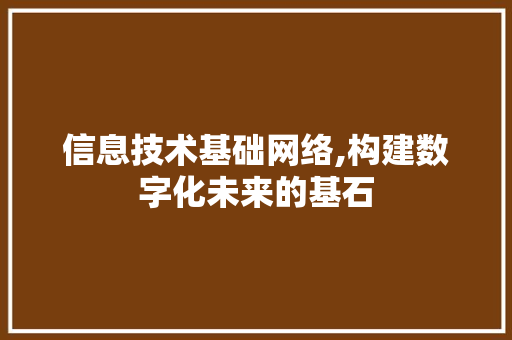 信息技术基础网络,构建数字化未来的基石