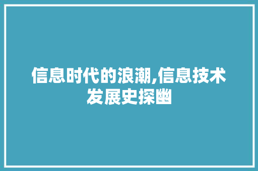 信息时代的浪潮,信息技术发展史探幽