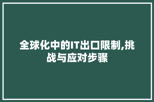 全球化中的IT出口限制,挑战与应对步骤