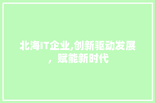 北海IT企业,创新驱动发展，赋能新时代