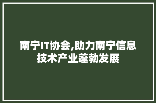 南宁IT协会,助力南宁信息技术产业蓬勃发展