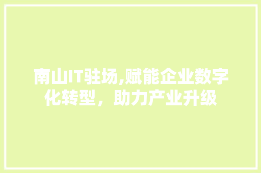 南山IT驻场,赋能企业数字化转型，助力产业升级