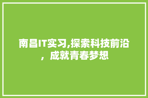 南昌IT实习,探索科技前沿，成就青春梦想