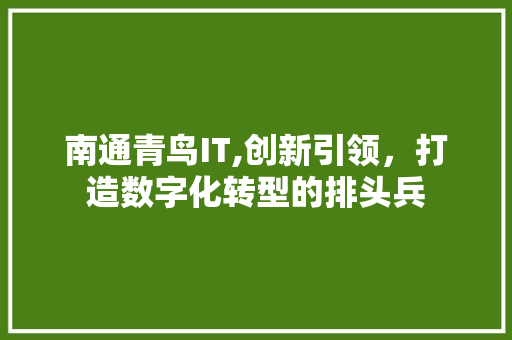 南通青鸟IT,创新引领，打造数字化转型的排头兵
