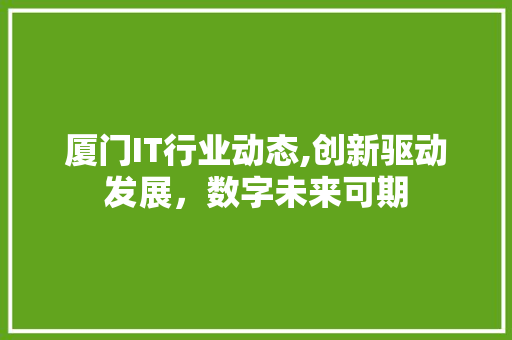 厦门IT行业动态,创新驱动发展，数字未来可期