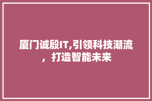 厦门诚殷IT,引领科技潮流，打造智能未来