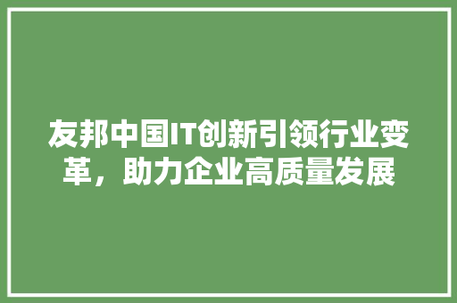 友邦中国IT创新引领行业变革，助力企业高质量发展
