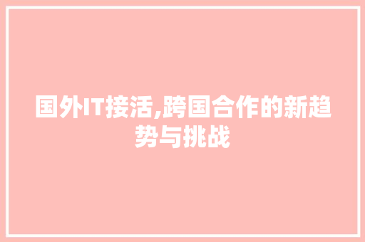 国外IT接活,跨国合作的新趋势与挑战