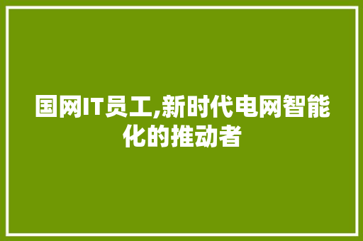 国网IT员工,新时代电网智能化的推动者