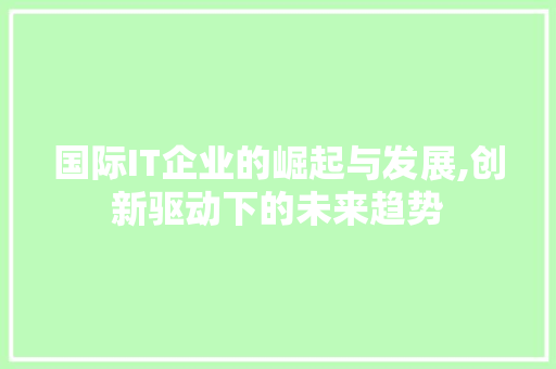国际IT企业的崛起与发展,创新驱动下的未来趋势