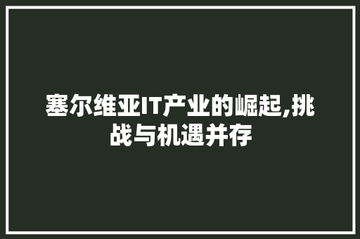 塞尔维亚IT产业的崛起,挑战与机遇并存