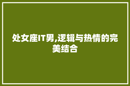 处女座IT男,逻辑与热情的完美结合