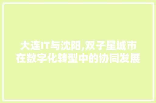 大连IT与沈阳,双子星城市在数字化转型中的协同发展