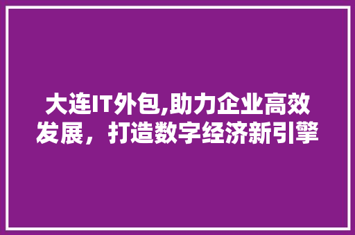 大连IT外包,助力企业高效发展，打造数字经济新引擎