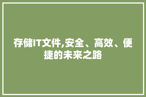 存储IT文件,安全、高效、便捷的未来之路