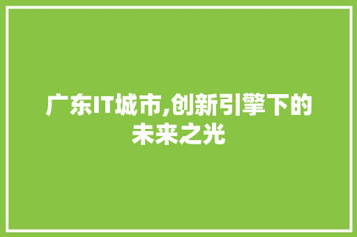 广东IT城市,创新引擎下的未来之光