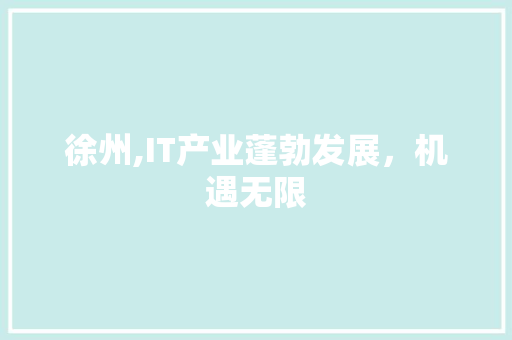 徐州,IT产业蓬勃发展，机遇无限