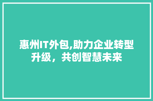 惠州IT外包,助力企业转型升级，共创智慧未来