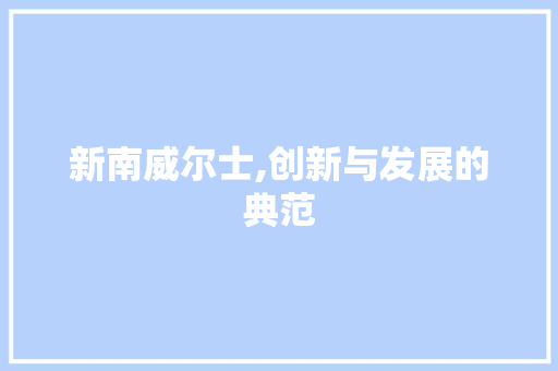 新南威尔士,创新与发展的典范