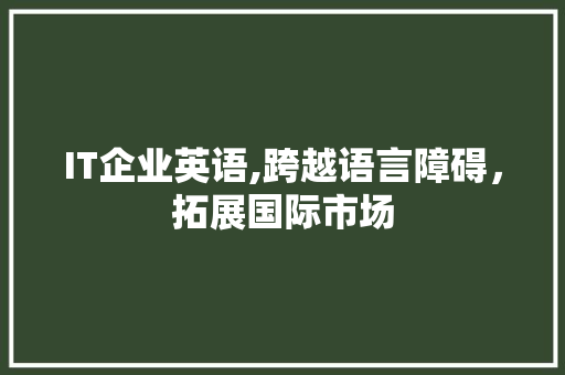 IT企业英语,跨越语言障碍，拓展国际市场