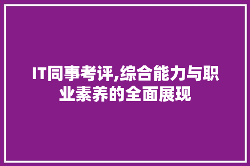 IT同事考评,综合能力与职业素养的全面展现